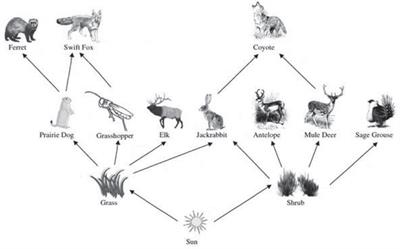 Conservation Actions in Multi-Species Systems: Species Interactions and Dispersal Costs